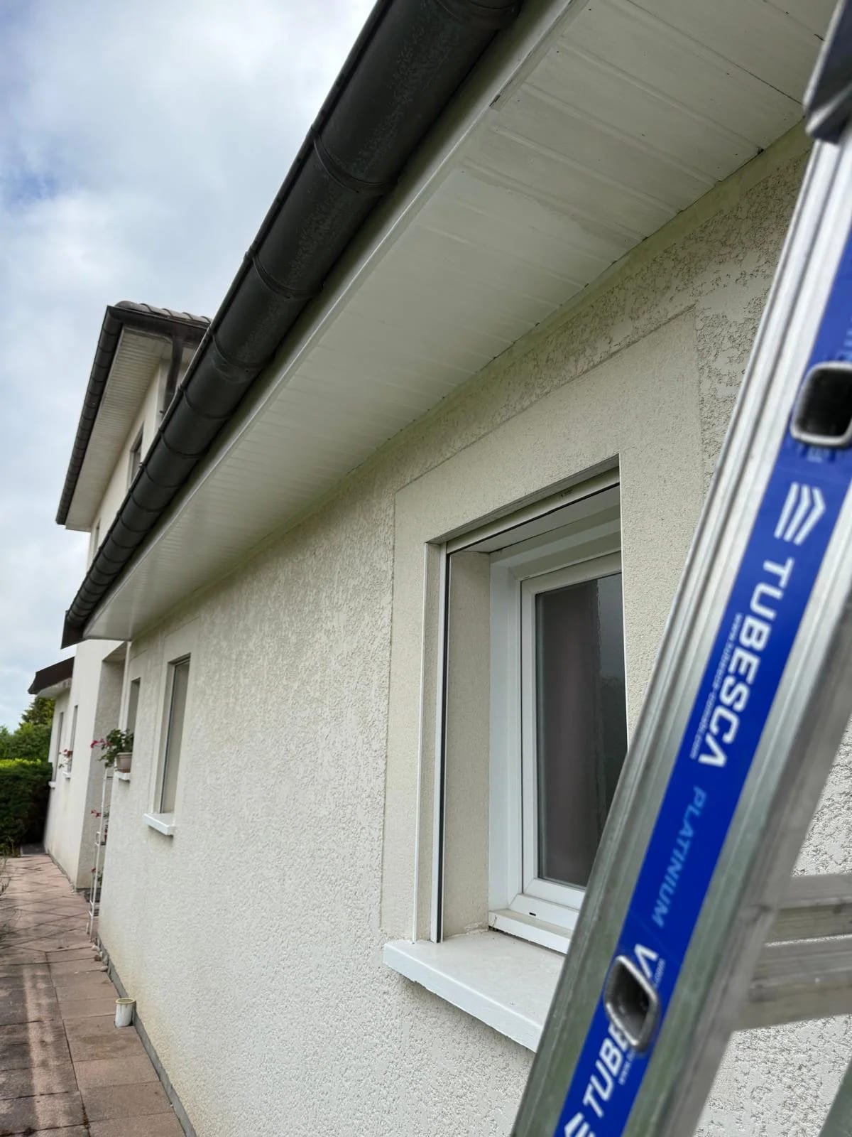 bande de rives Mamirolle